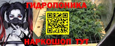 прущие крисы Будённовск